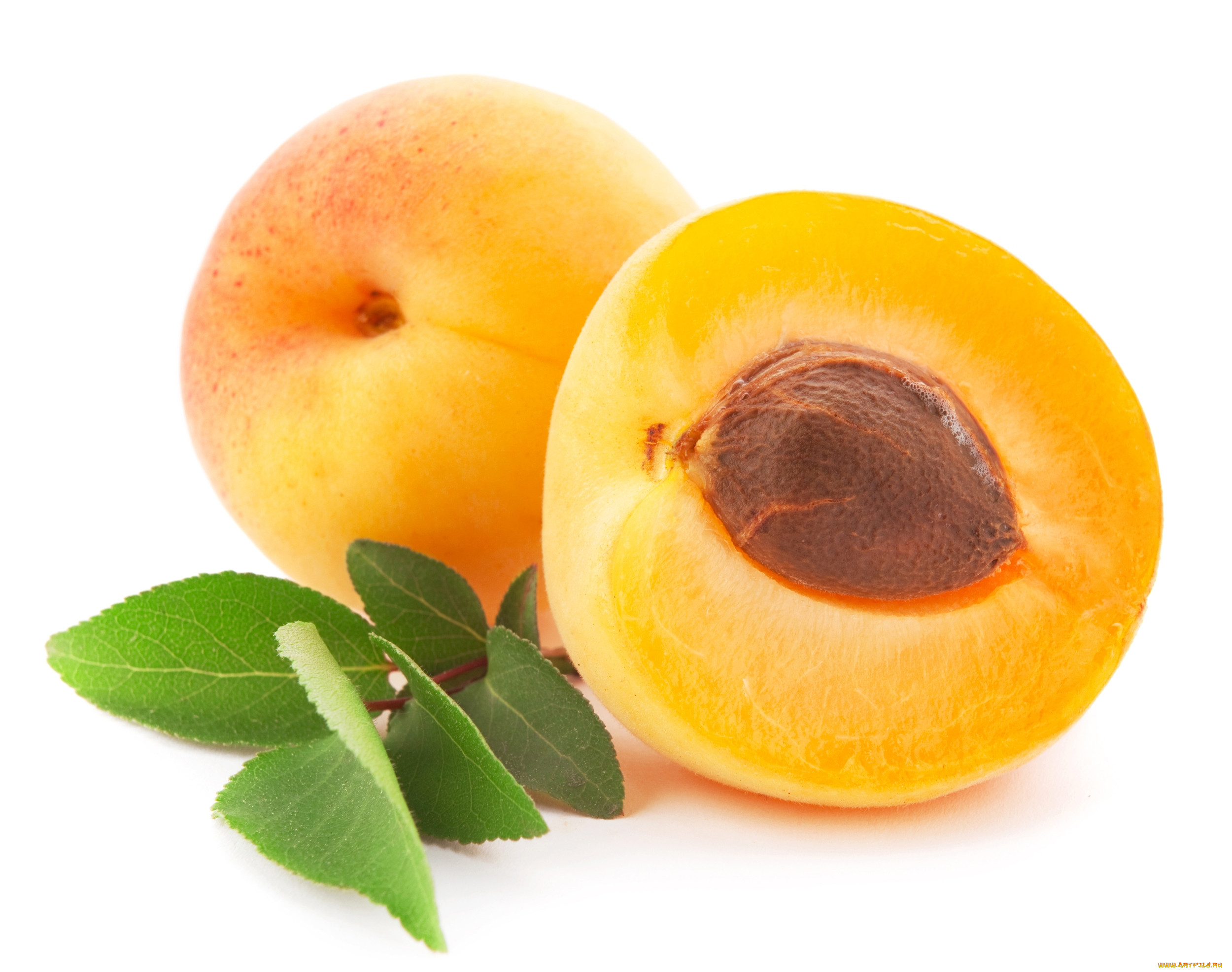 Stock Apricot Imported